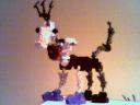 Hoiho-Pere