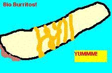 bio-burritos.jpg