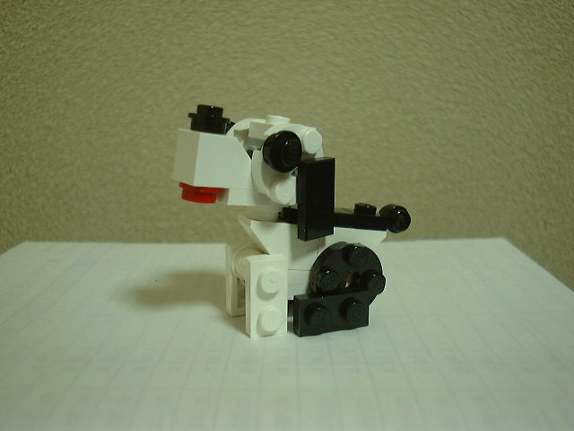 01.jpg