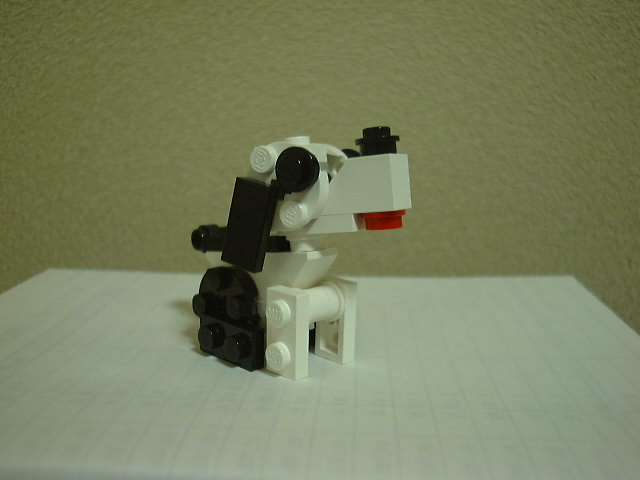 03.jpg