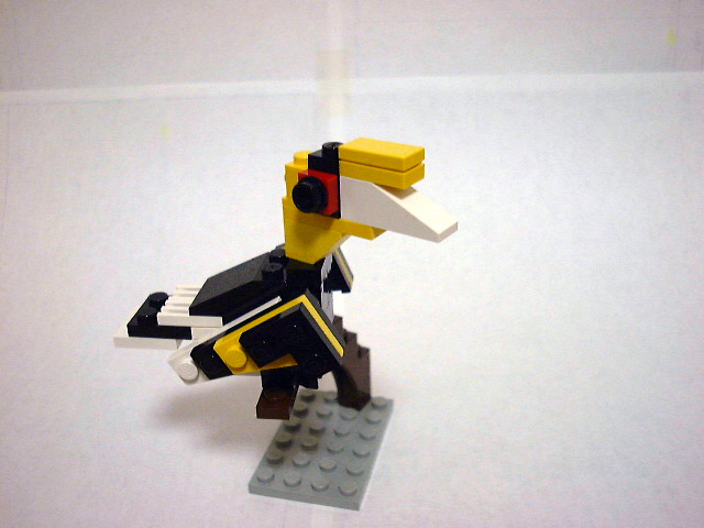 06.jpg