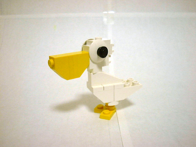 01.jpg