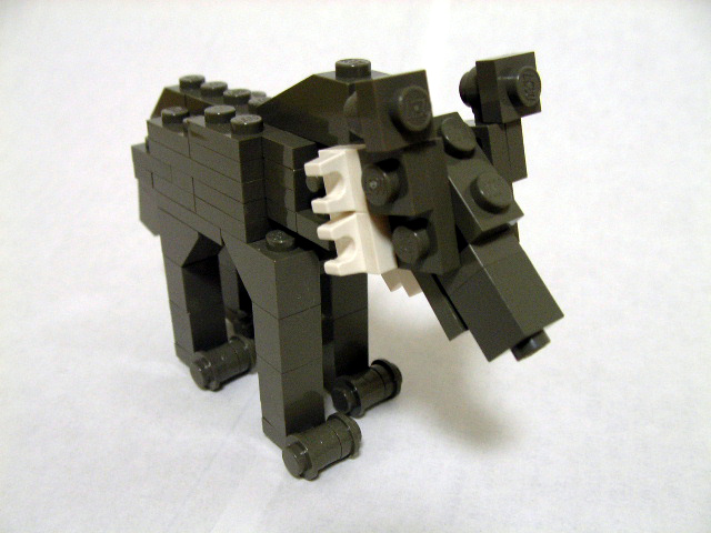 06.jpg