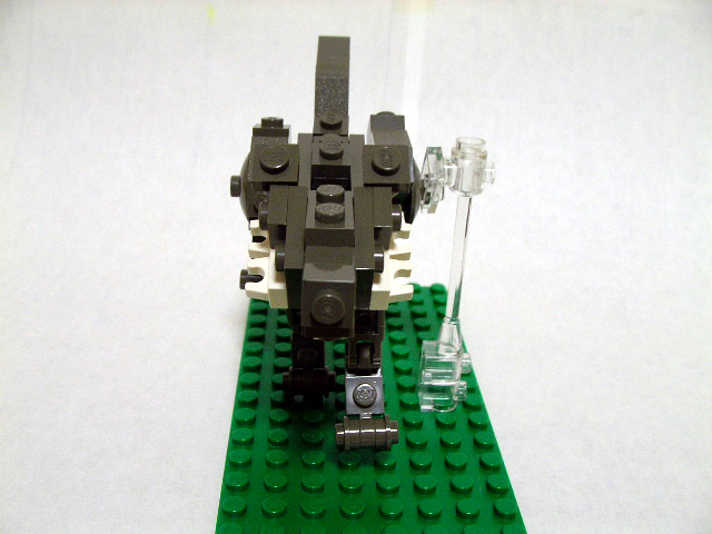 06.jpg
