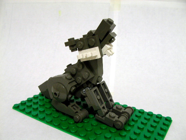 07.jpg