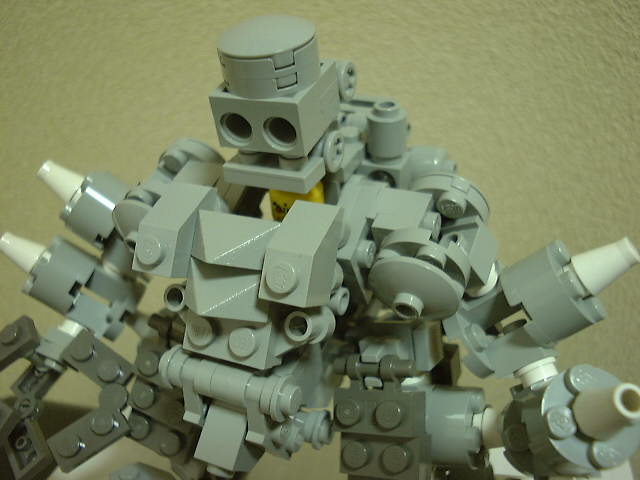 06.jpg