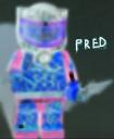 pred_veiw.jpg