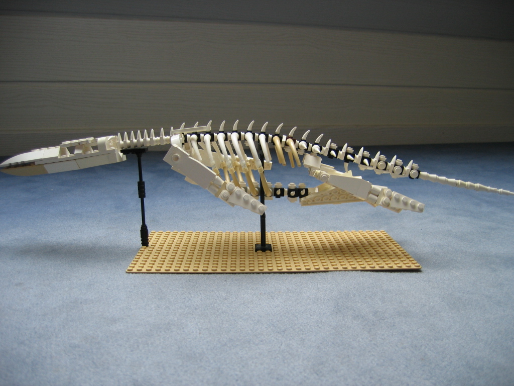 liopleurodon7.jpg