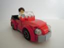 beetle6x.jpg