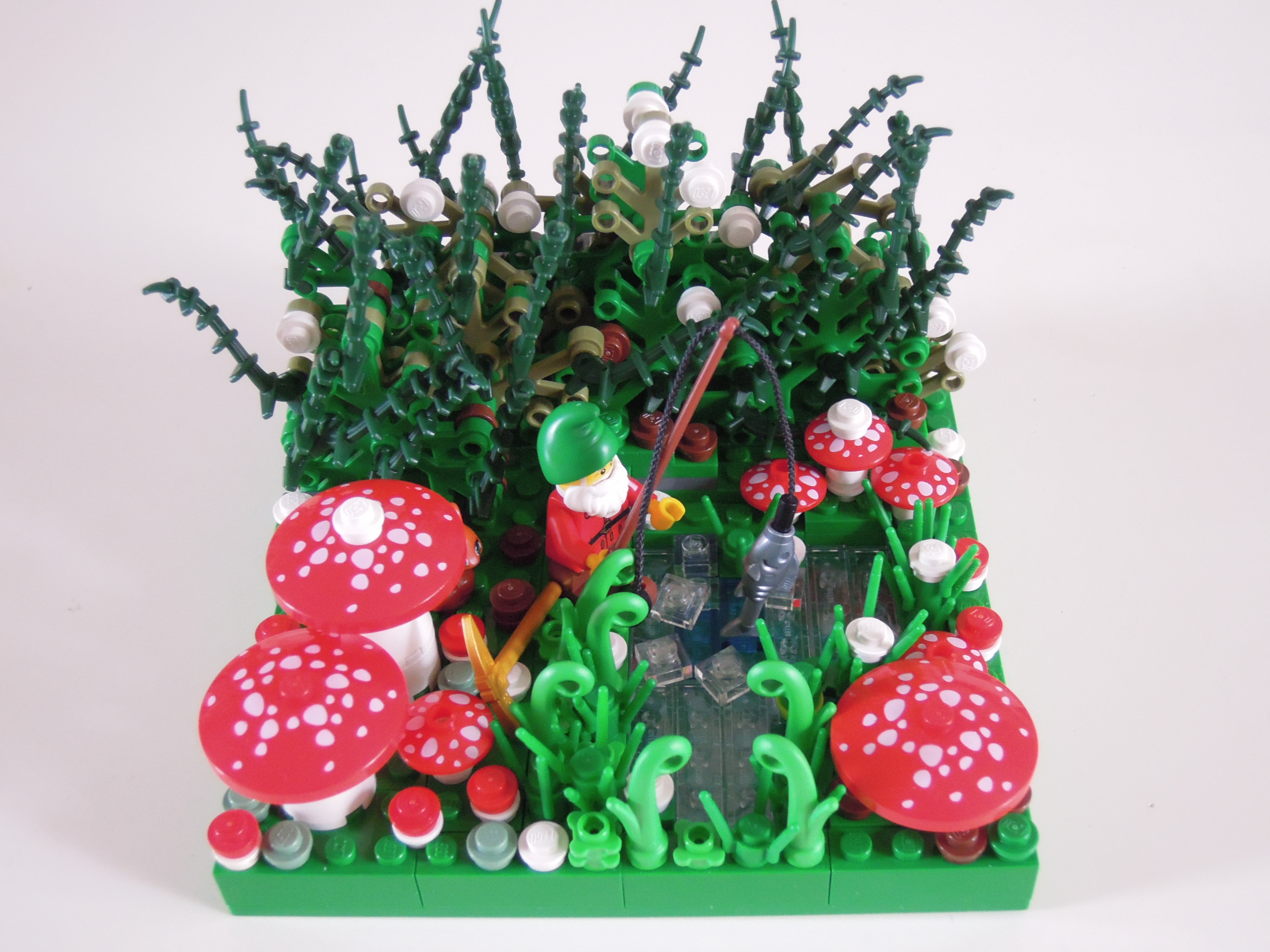 dscn8530.jpg