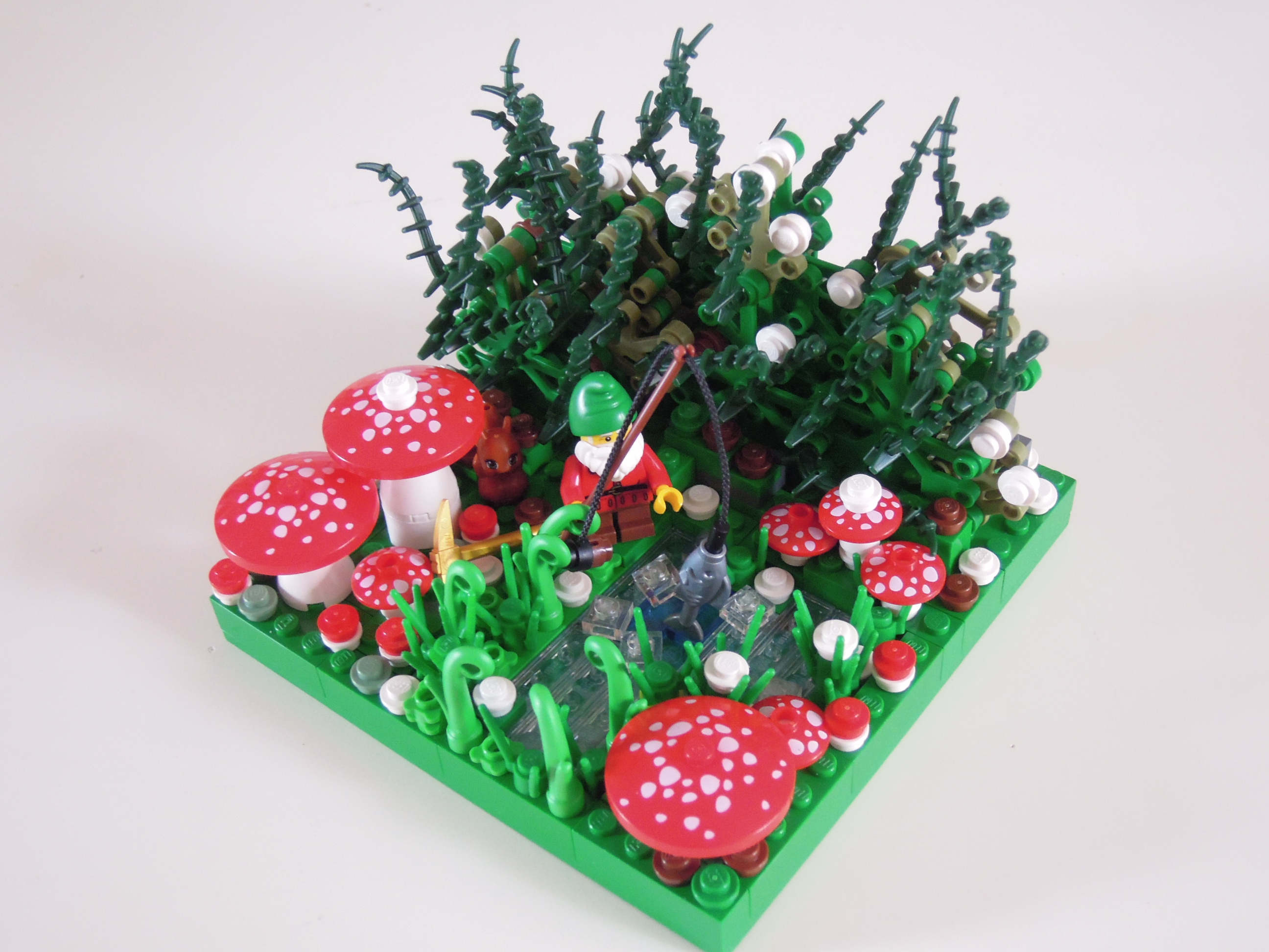 dscn8531.jpg