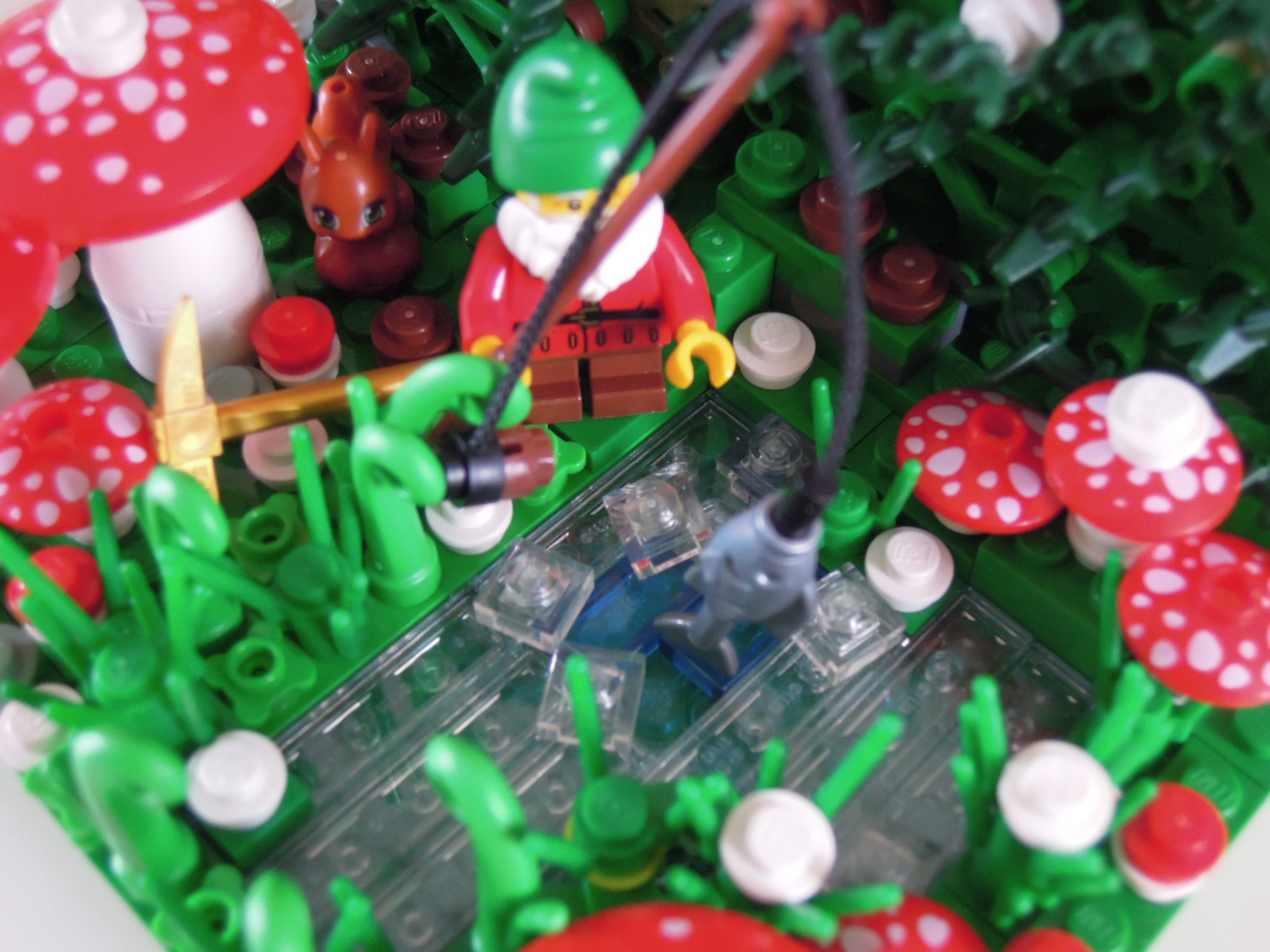 dscn8535.jpg