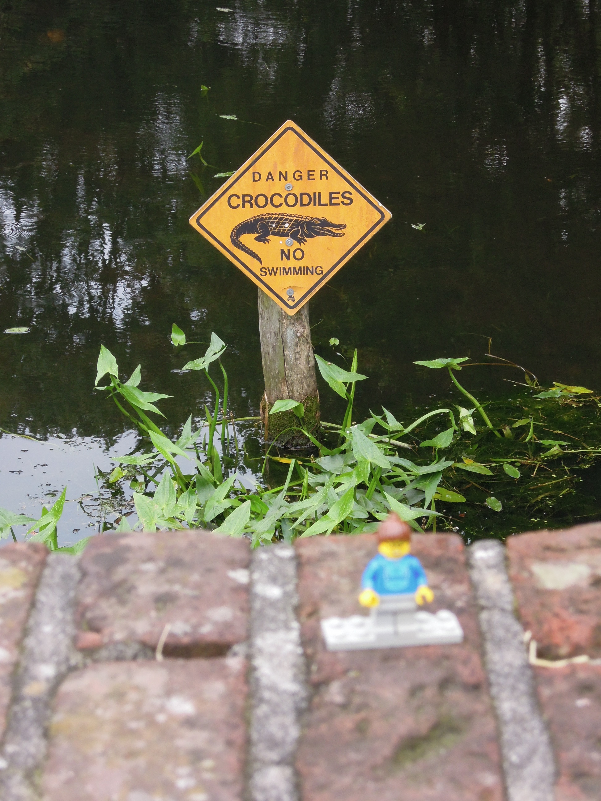 dscn2591.jpg