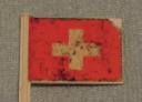 flag__before_cleaning.jpg