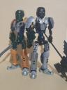 shadow_toa1.jpg