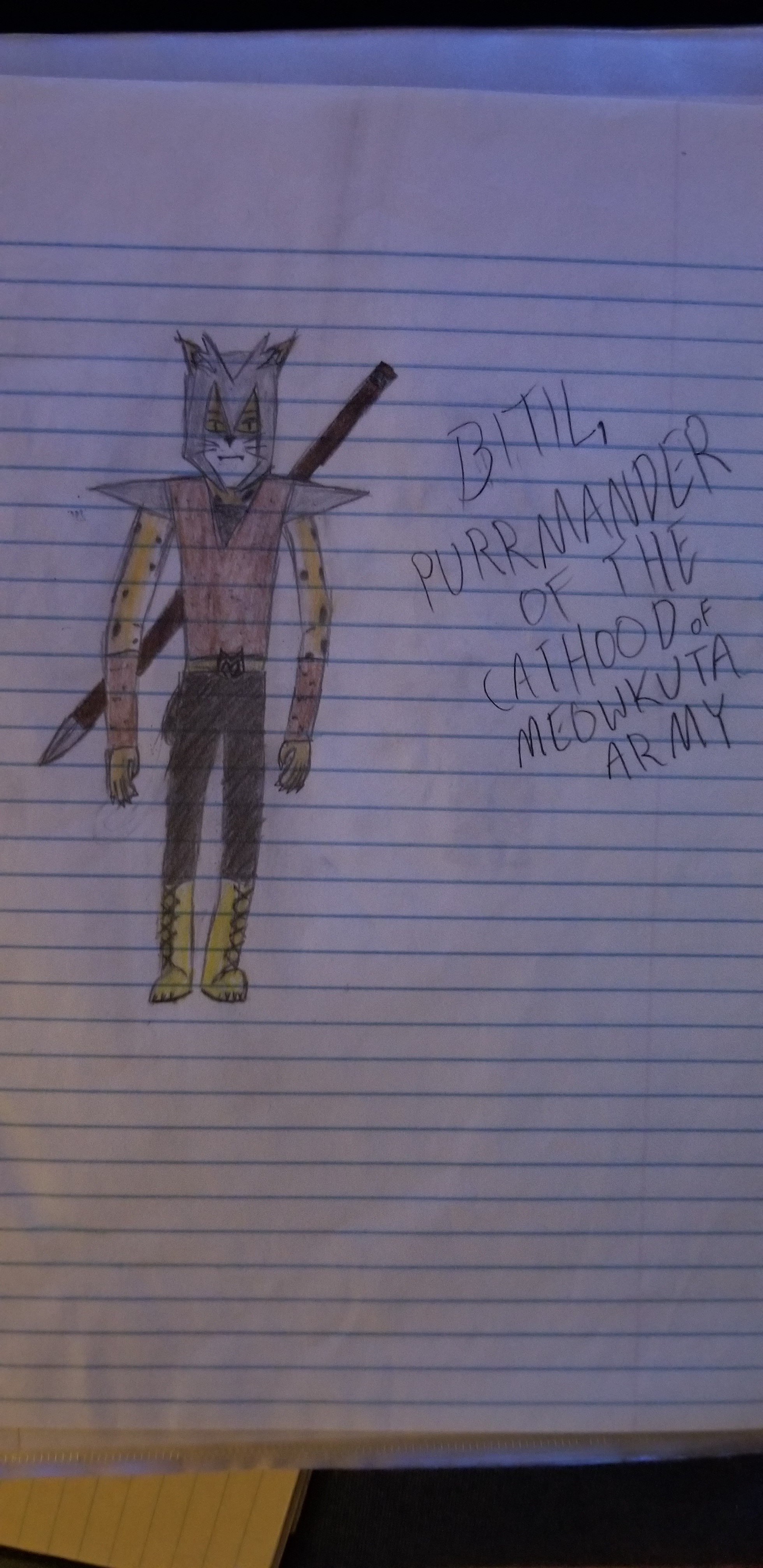 bitil_purrmander.jpg