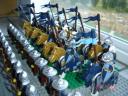 crownarmy6.jpg
