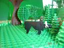 boarhunt7.jpg
