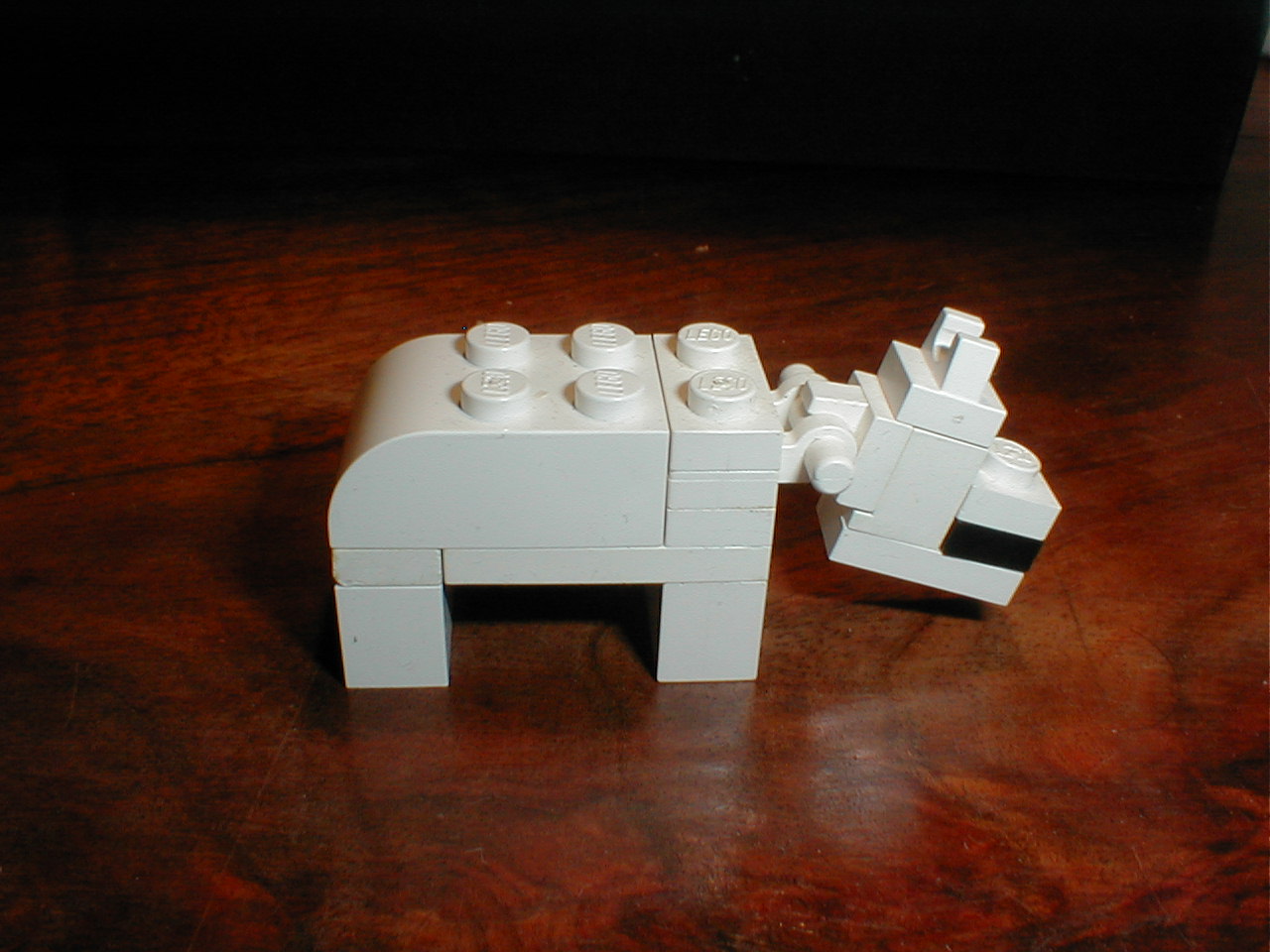 babycalf.jpg