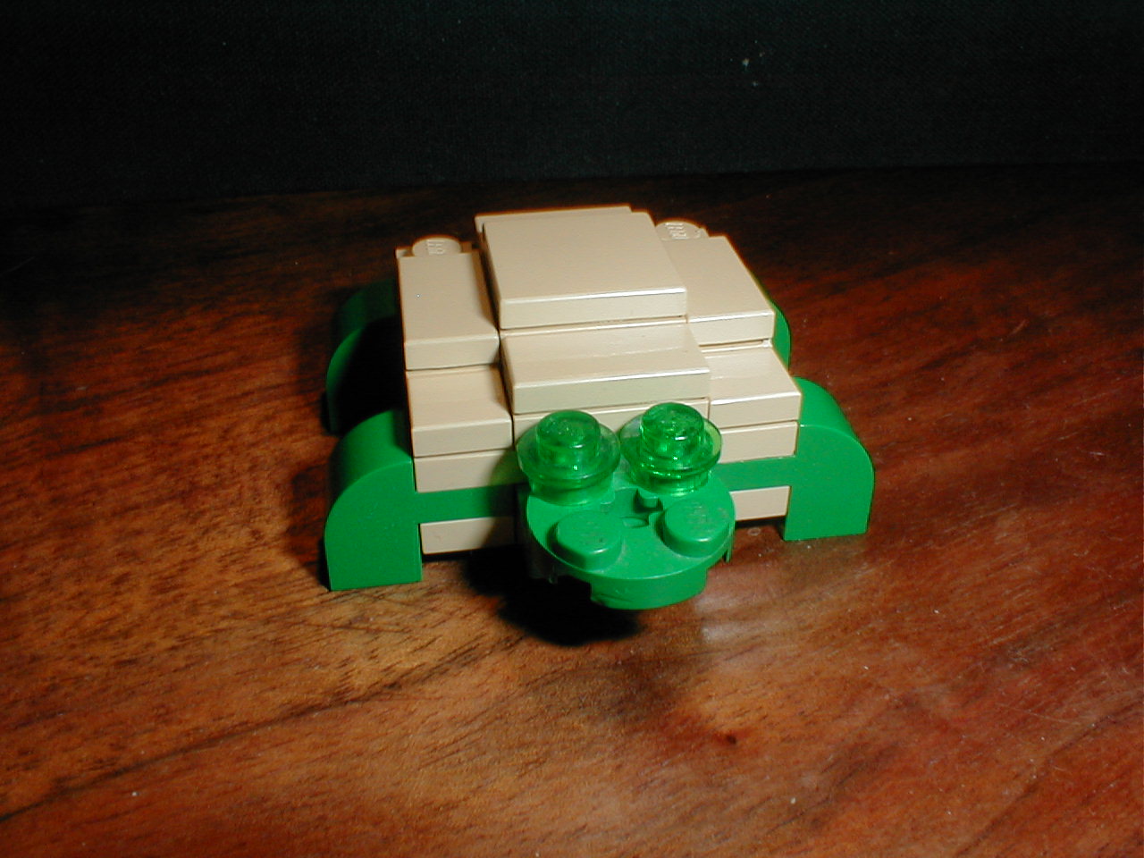 tortise.jpg