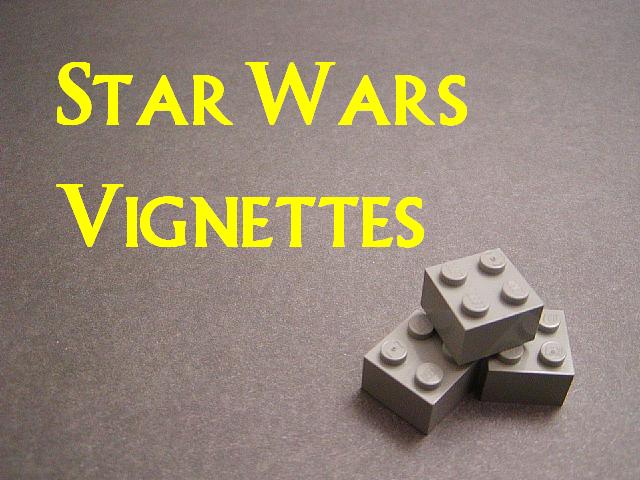 sw_vigs.jpg