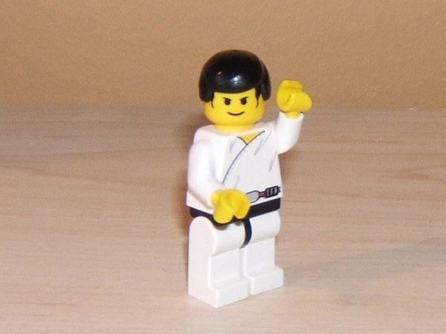 martial_arts_master.jpg