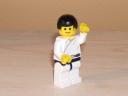 martial_arts_master.jpg