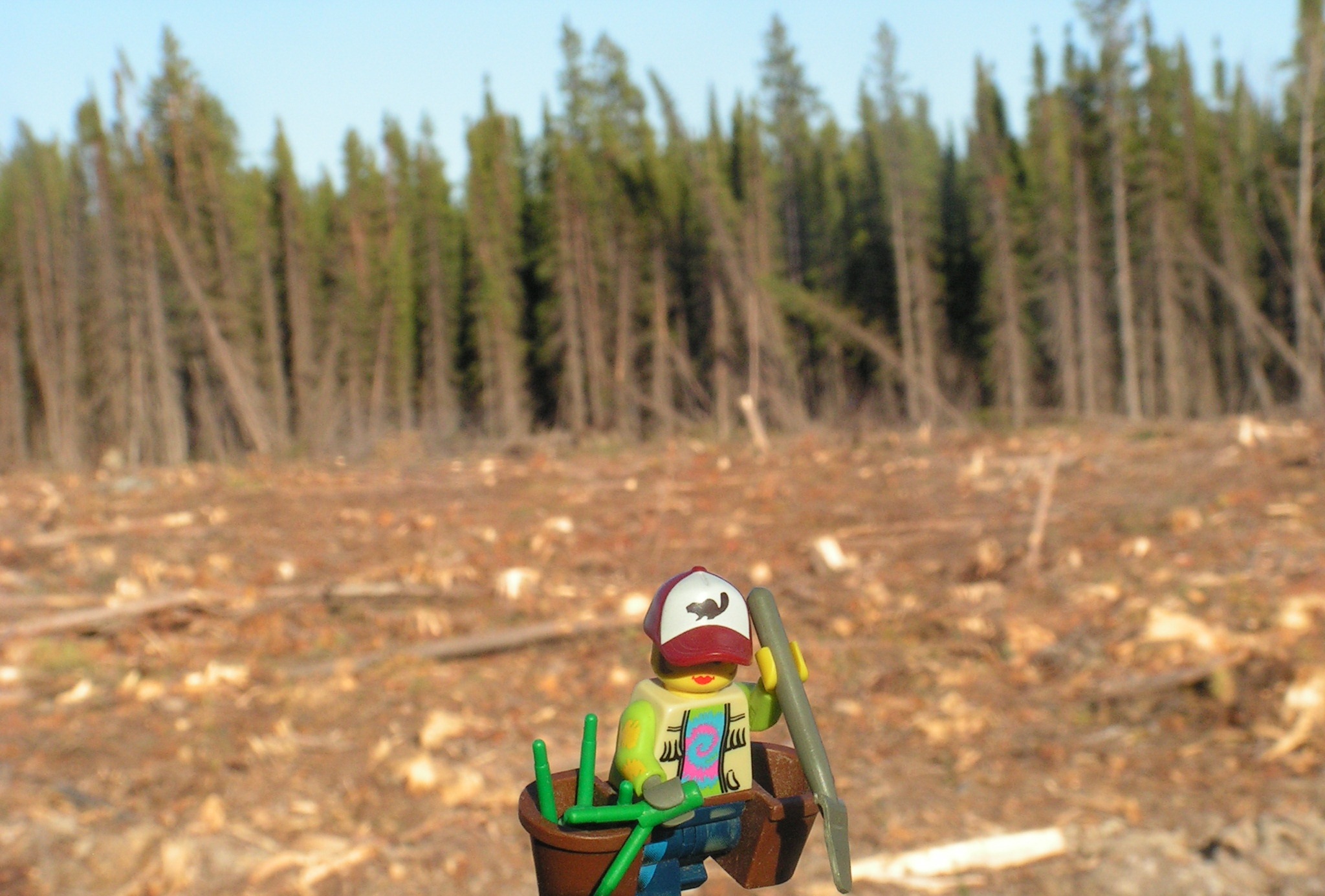 alegoplanter.jpg
