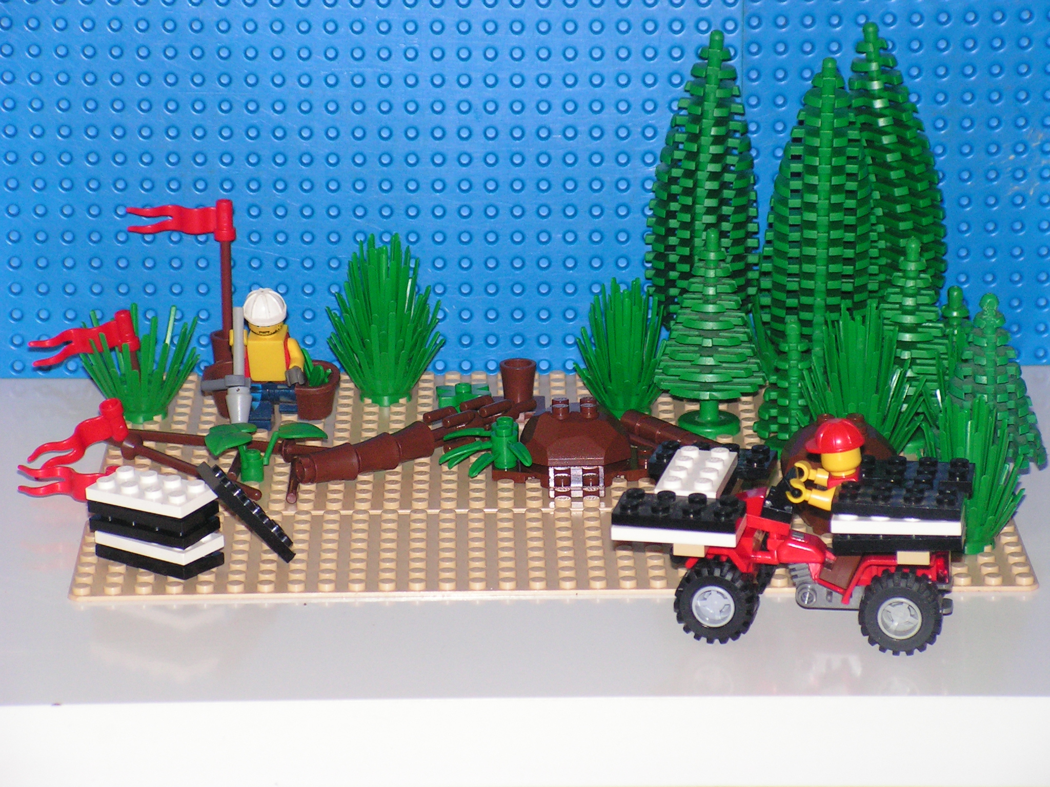 planting_001.jpg