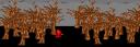 woods.bmp