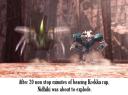 caption7_annatare.jpg