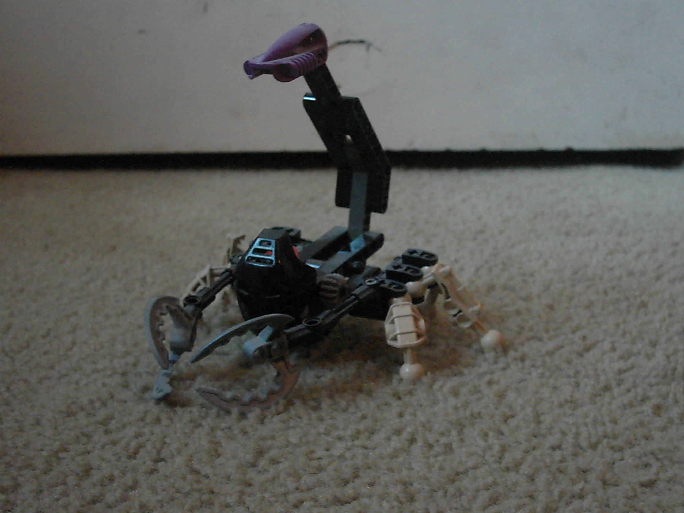 scorpion.jpg