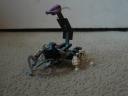 scorpion.jpg