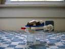 102_f4452.jpg