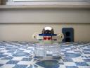103_f4452.jpg