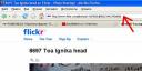 flickr1.jpg
