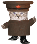 red_army_kitten.gif