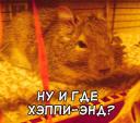 gosha_happyend.jpg