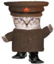 red_army_kitten.gif
