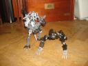 dsc04597.jpg