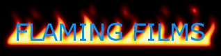 flame_logo.jpg