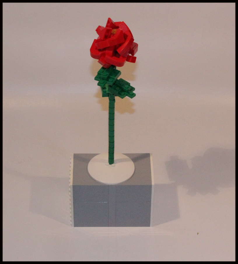 rose_edited_resize.jpg
