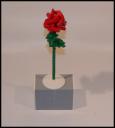 Lifesize--Rose