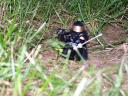 super_commando_hero.jpg