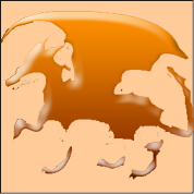 emblem.png