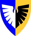 black_falcon_trishield_2.png