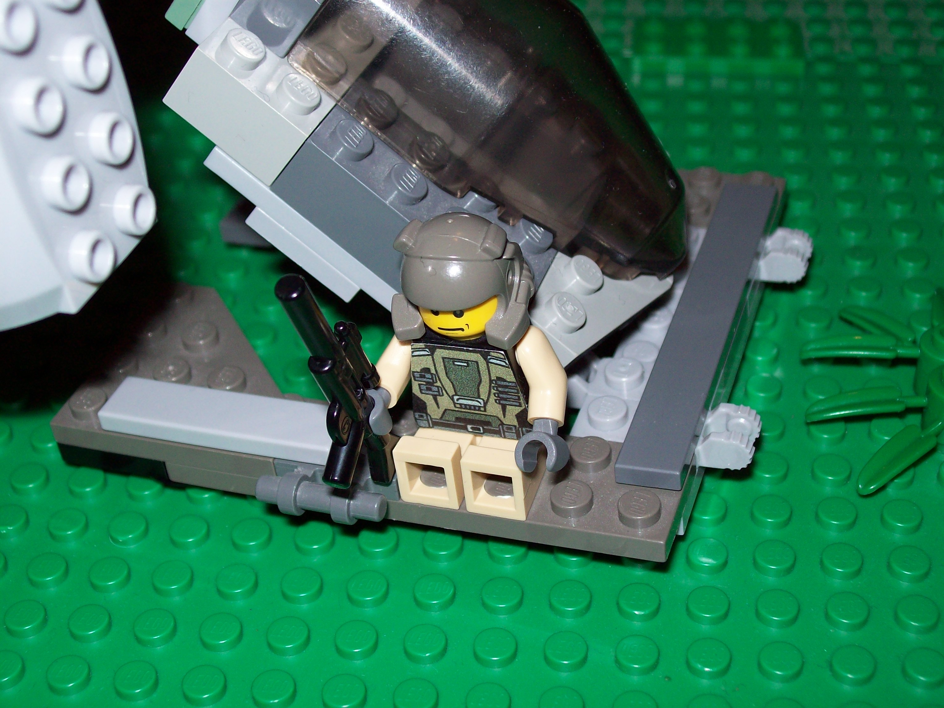 hornet_passenger.jpg