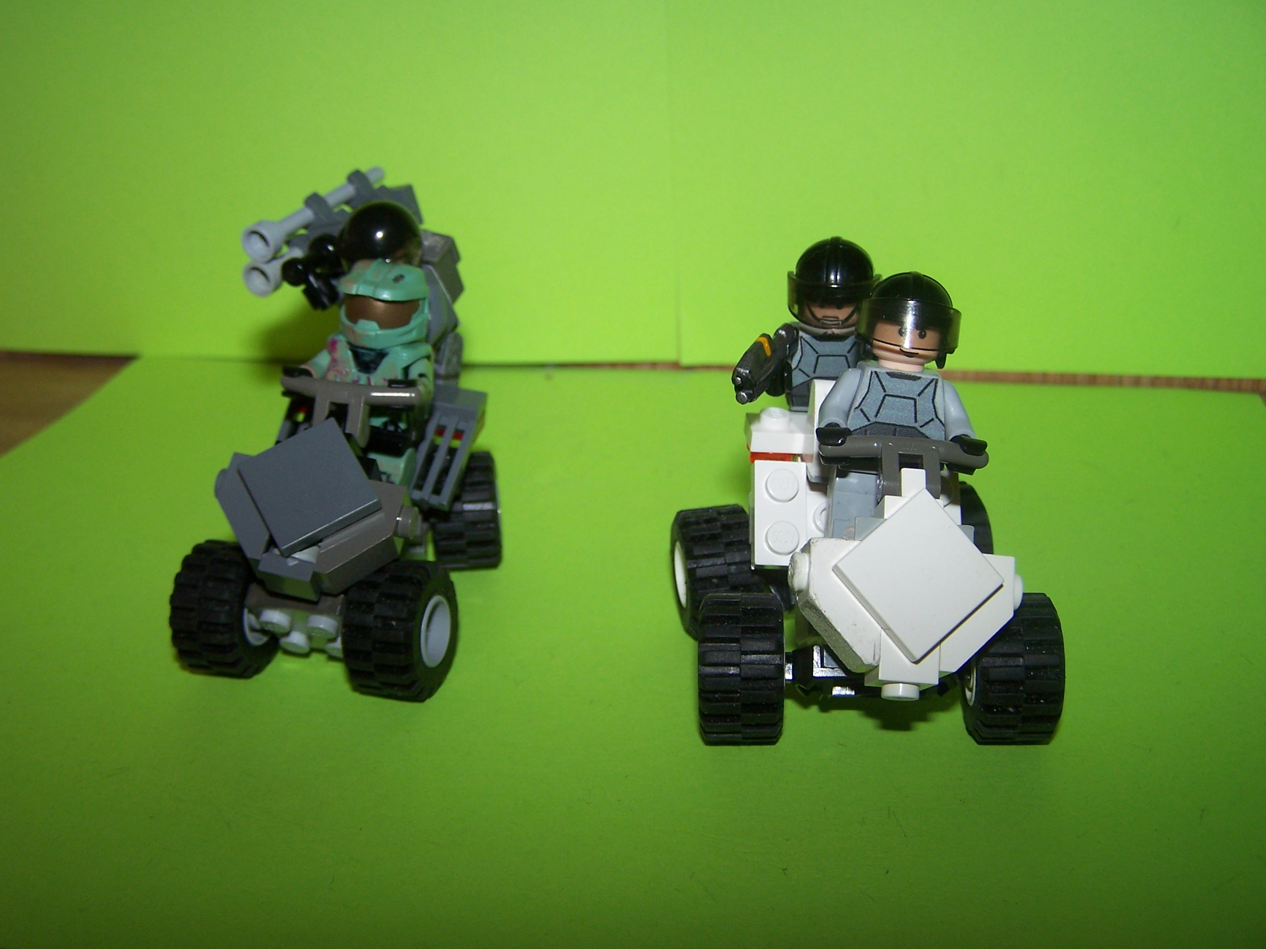 mongoose_duo.jpg