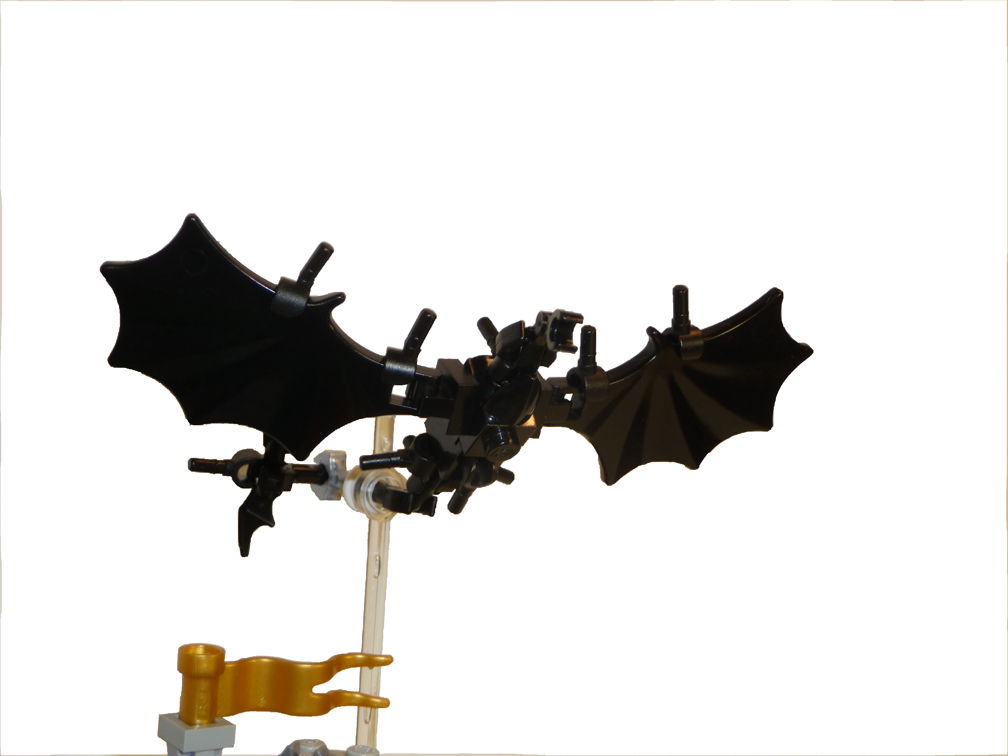 queen_dragon010.jpg