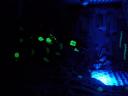 frightling02.jpg